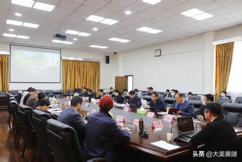 区领导专题听取武汉中华恐龙园旅游度假区项目设计方案汇报