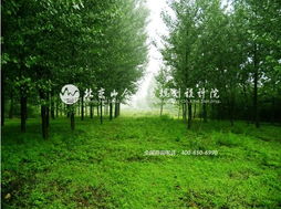 王院长带队赴河北平山县生态庄园，开启乡村旅游规划新篇章